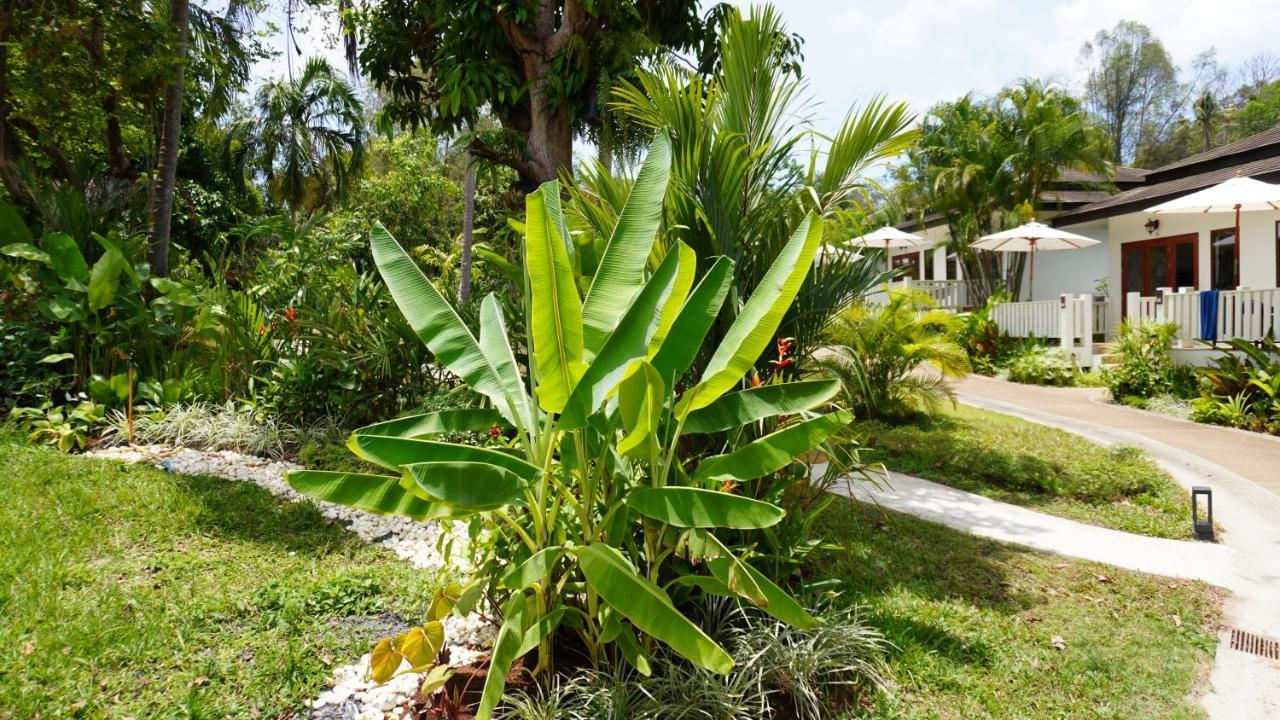 Treeya Lanta Hotel Ko Lanta Buitenkant foto